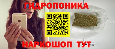 прущие грибы Коммунар