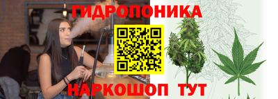 прущие грибы Коммунар