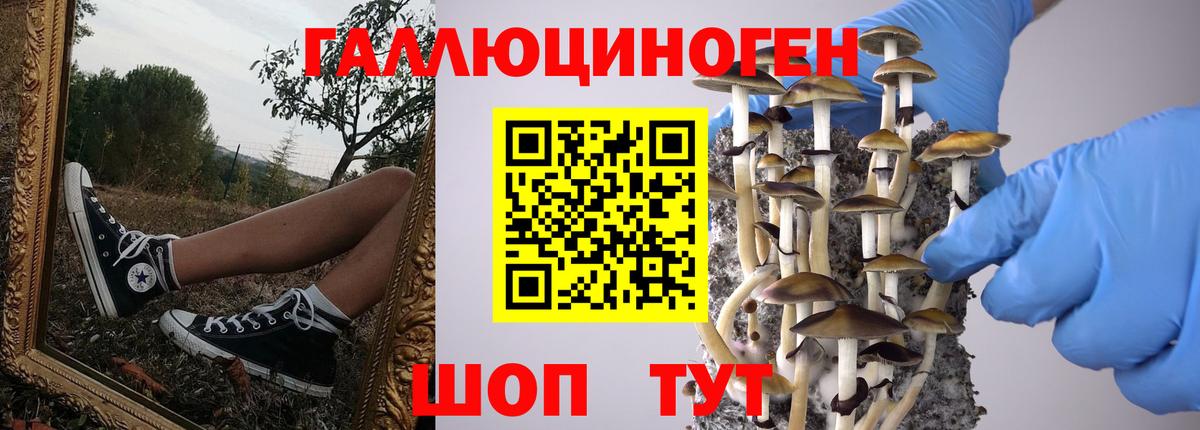 Псилоцибиновые грибы Cubensis Кинель